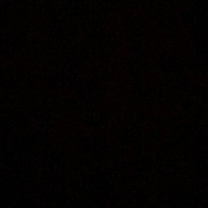 Meet your Posher, Shanese